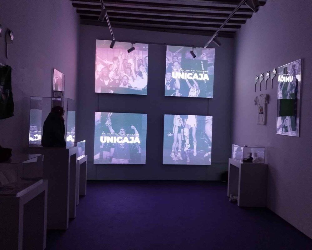 exposicion unicaja malaga 2022